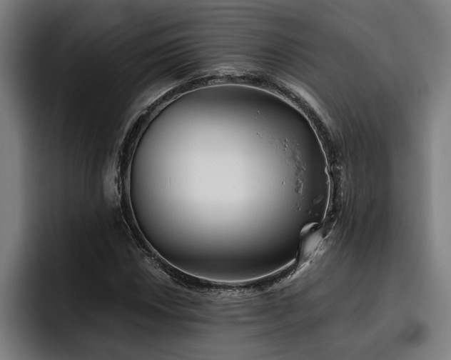 X0000093501018200710121509