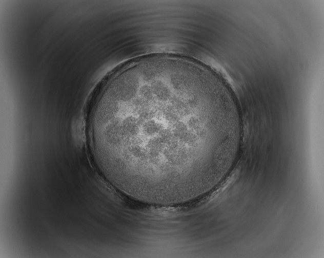 X0000093501019200710121509
