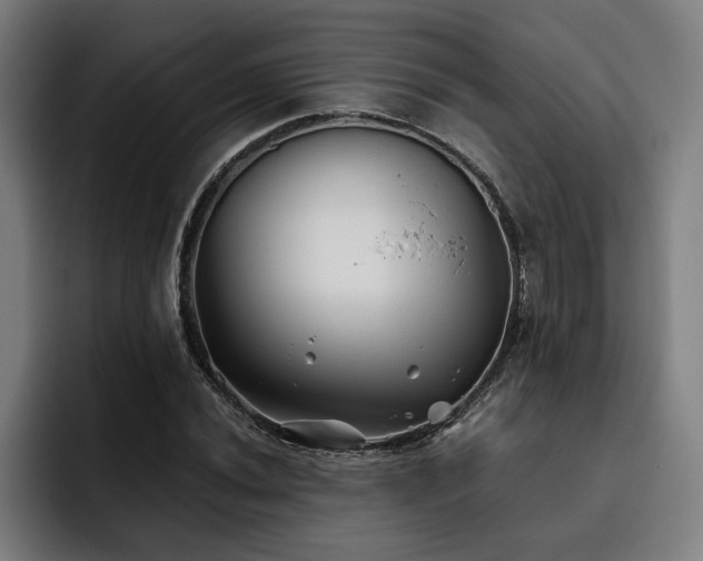 X0000093501020200710121509