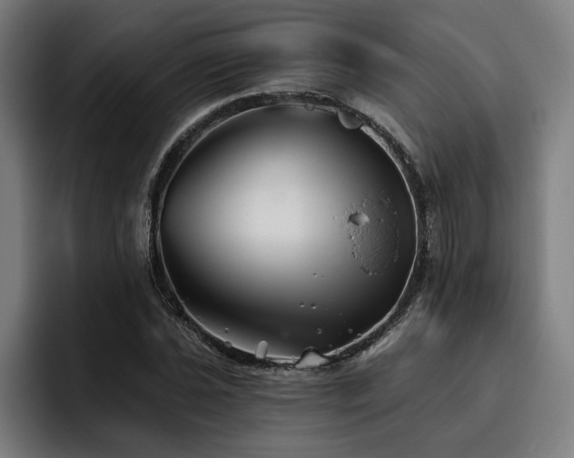 X0000093501021200710121509