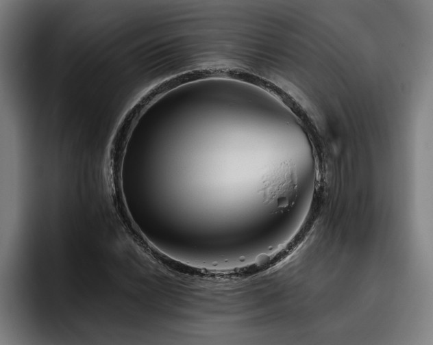 X0000093501022200710121509