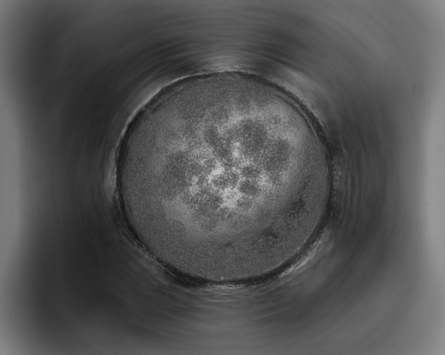 X0000093501023200710121509