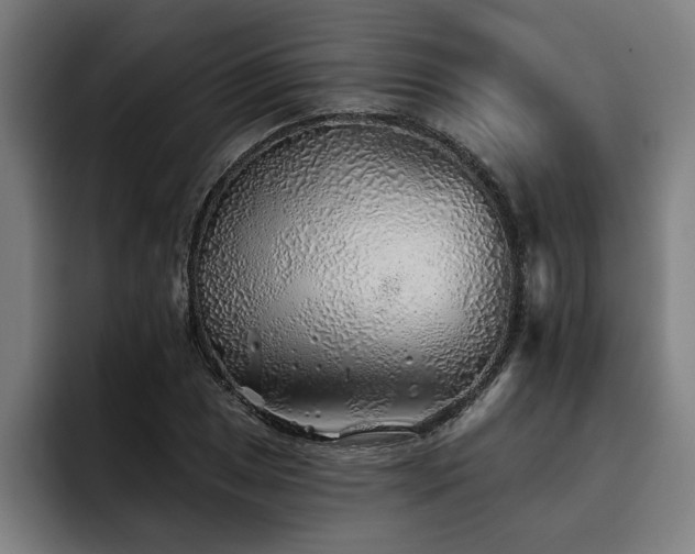 X0000093501025200710121509