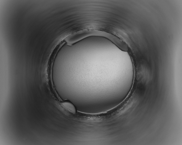 X0000093501026200710121509
