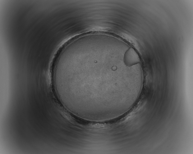 X0000093501027200710121509