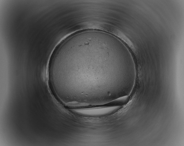 X0000093501028200710121509