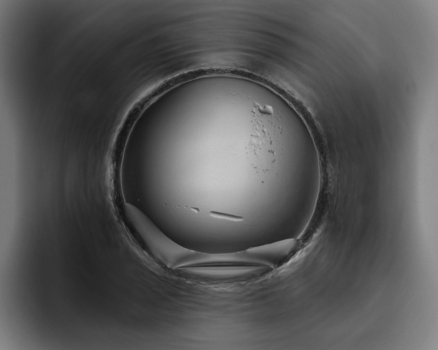 X0000093501029200710121509