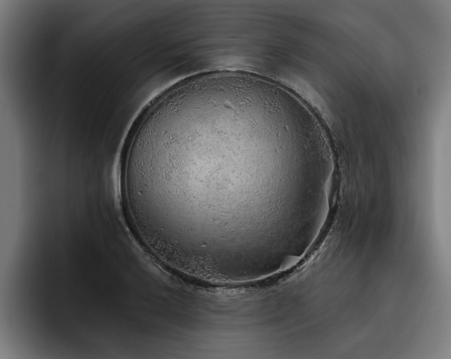 X0000093501032200710121509