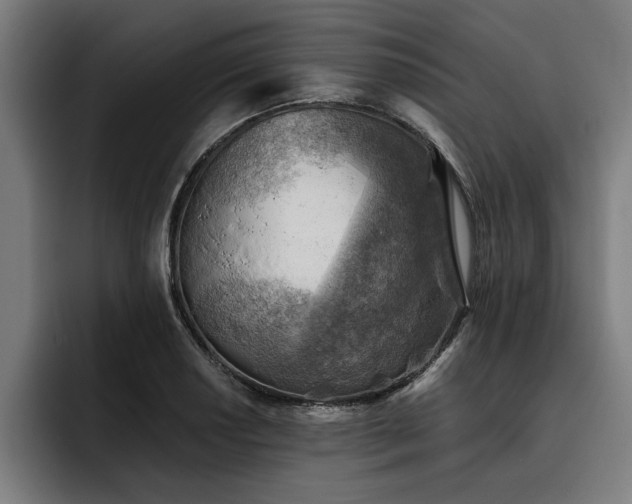 X0000093501034200710121509