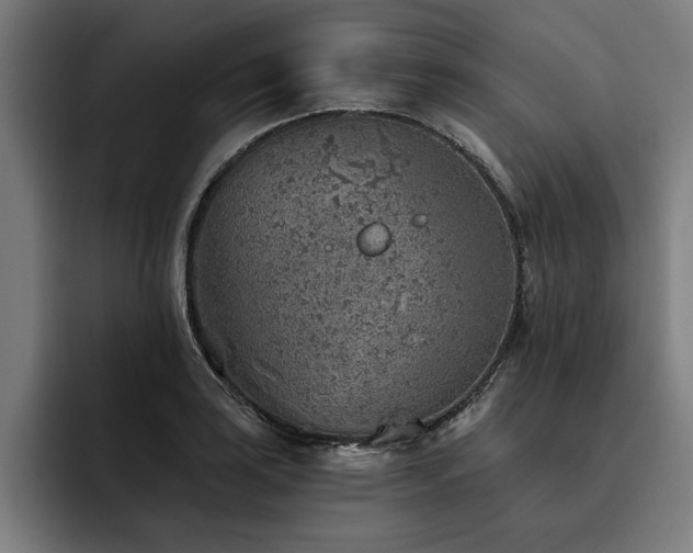 X0000093501035200710121509