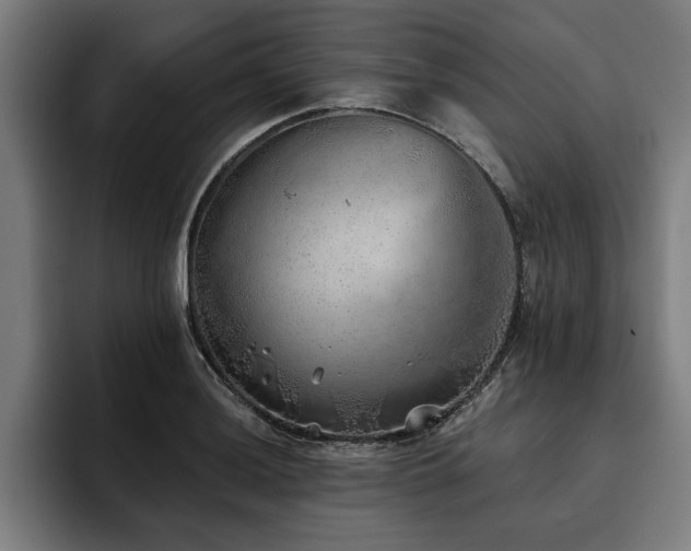 X0000093501036200710121509