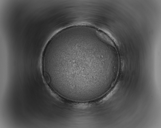 X0000093501038200710121509