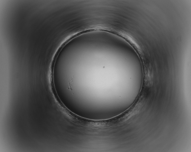X0000093501040200710121509