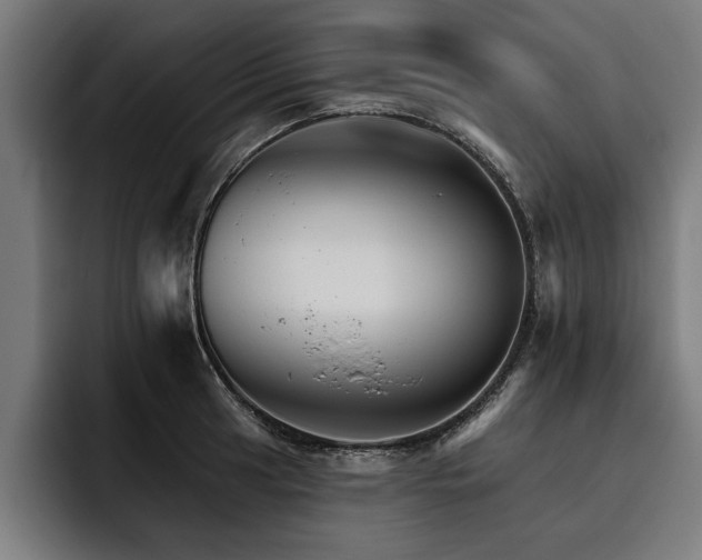 X0000093501041200710121509