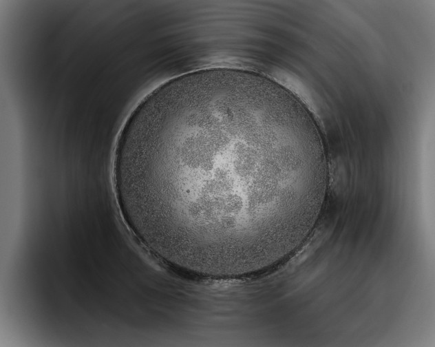 X0000093501043200710121510