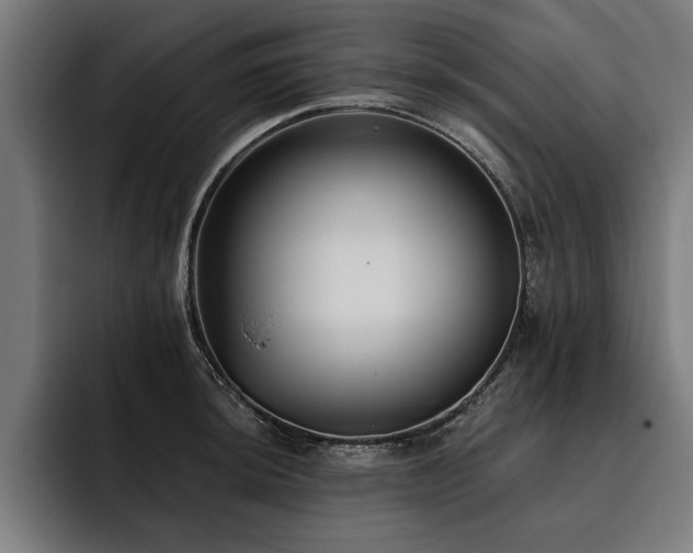 X0000093501044200710121510
