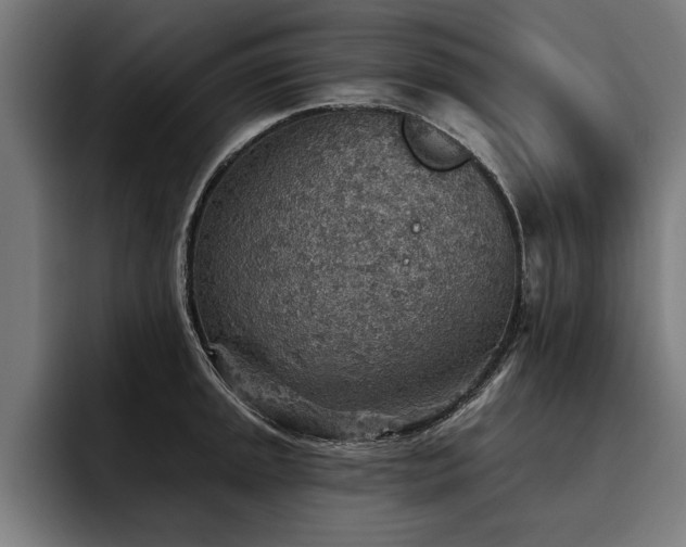 X0000093501045200710121510