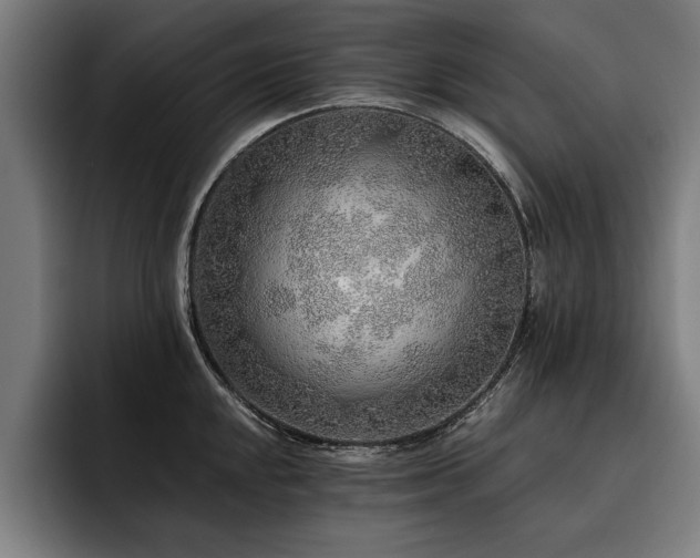 X0000093501048200710121510