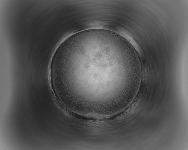 X0000093501051200710121510