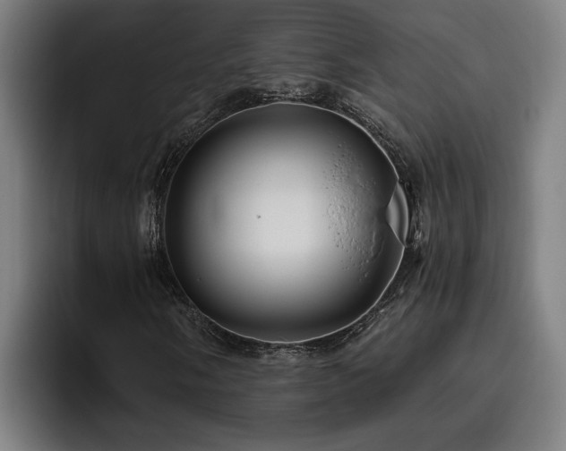 X0000093501058200710121509