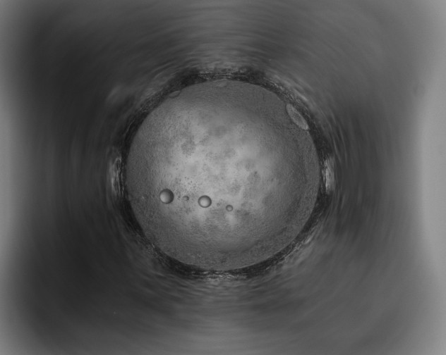 X0000093501059200710121509