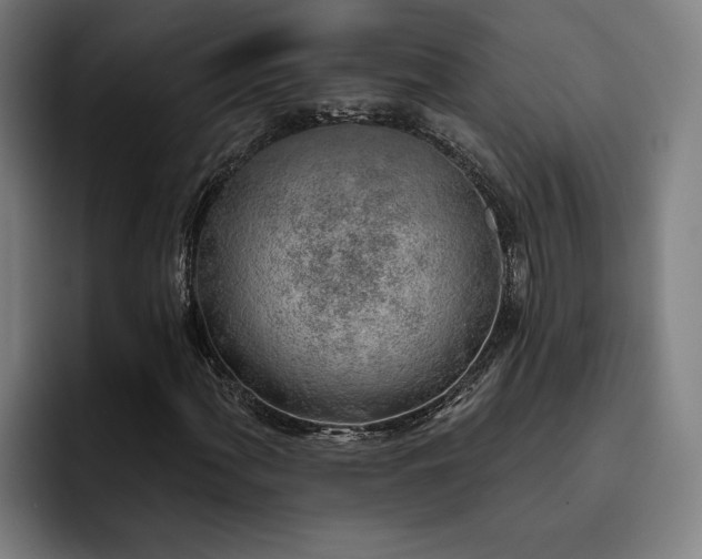 X0000093501060200710121509