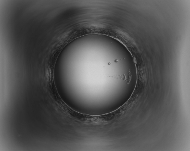 X0000093501061200710121509
