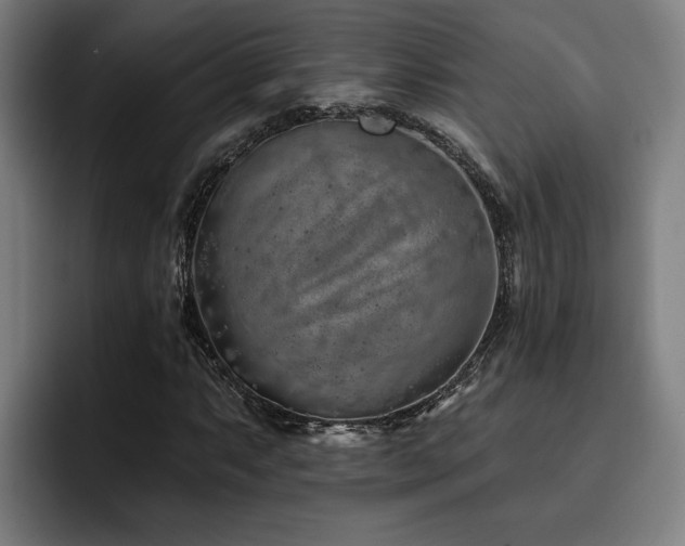 X0000093501063200710121509