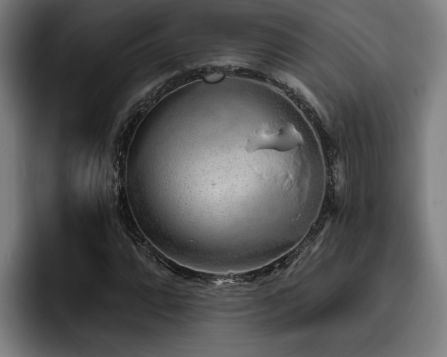 X0000093501064200710121509