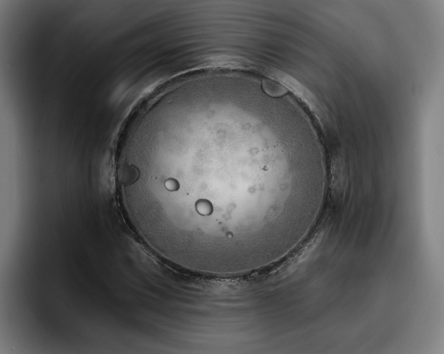 X0000093501067200710121509