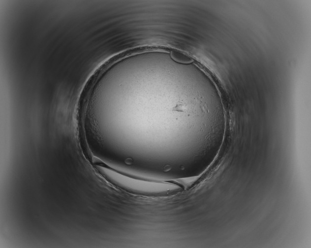 X0000093501068200710121509