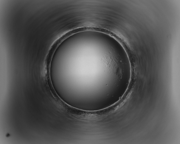 X0000093501070200710121509