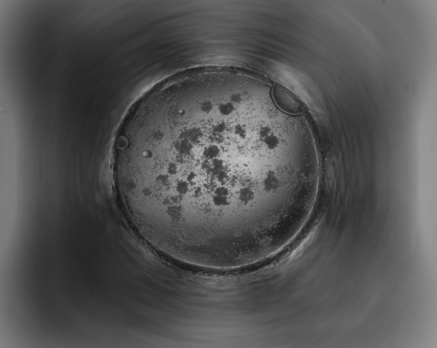 X0000093501071200710121509