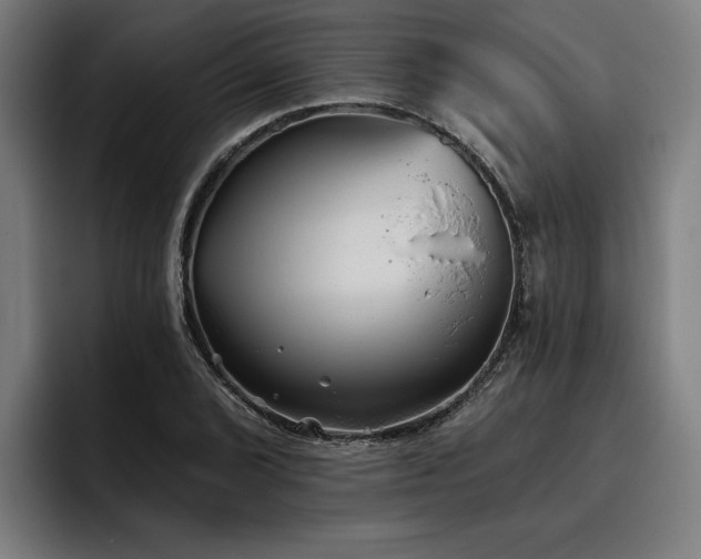 X0000093501072200710121509