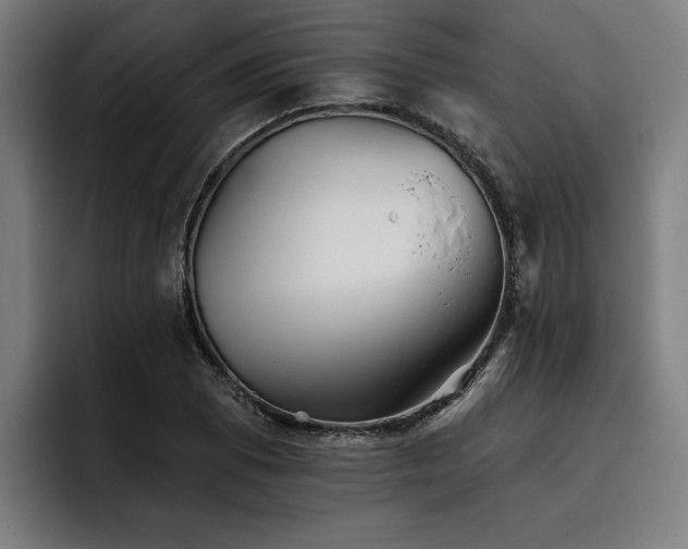 X0000093501073200710121509
