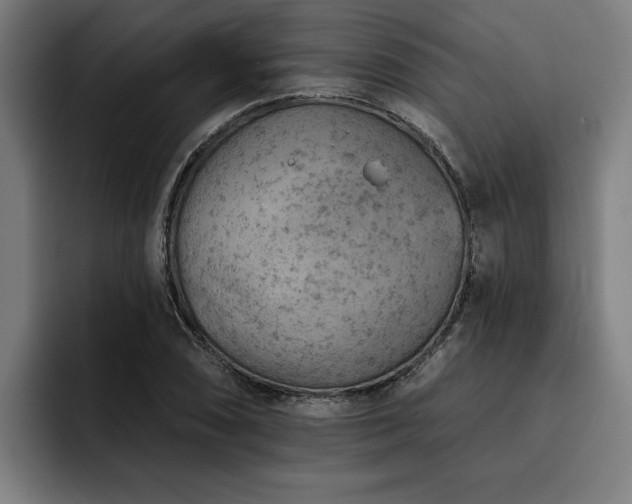 X0000093501074200710121509