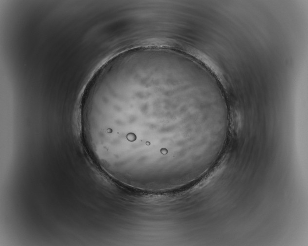 X0000093501075200710121509