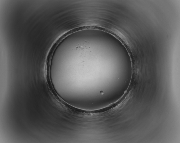 X0000093501076200710121509