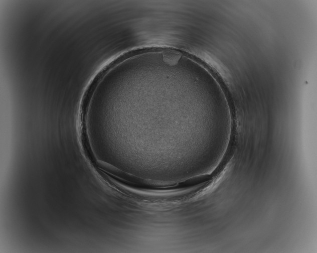 X0000093501077200710121509