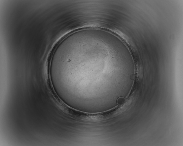 X0000093501078200710121509