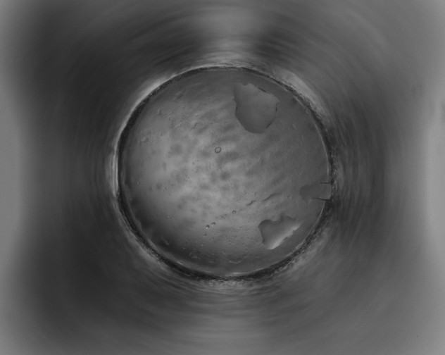 X0000093501079200710121509