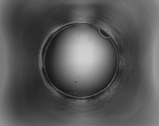 X0000093501080200710121509