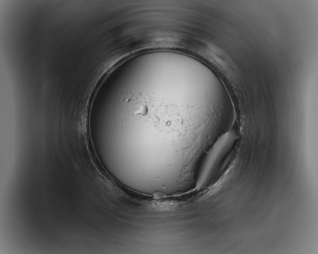 X0000093501081200710121509