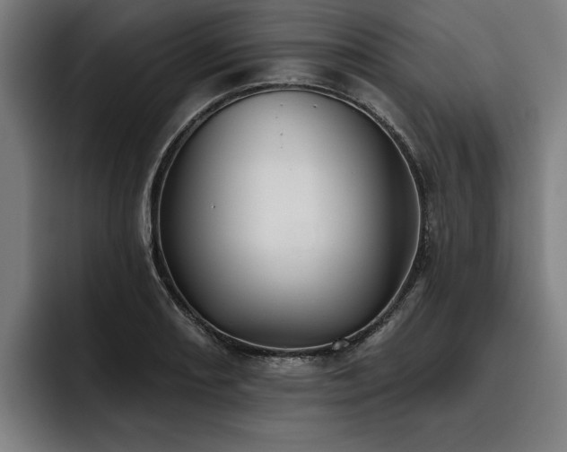 X0000093501082200710121509