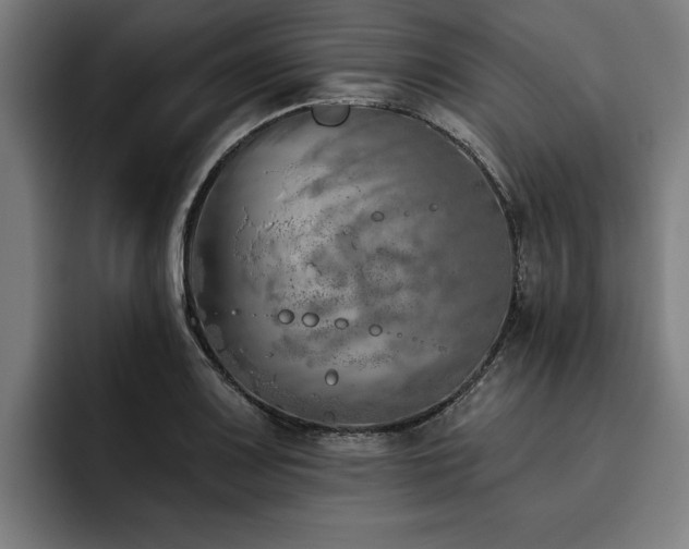 X0000093501083200710121509