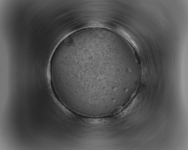 X0000093501084200710121509