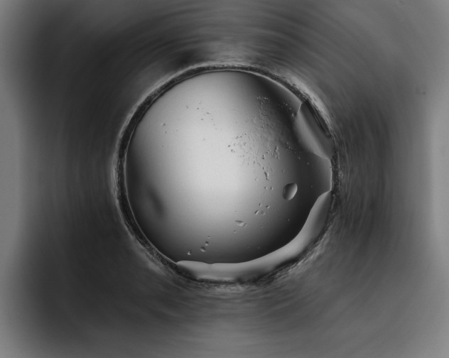 X0000093501085200710121509