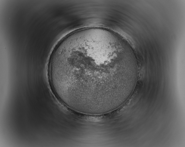 X0000093501086200710121509