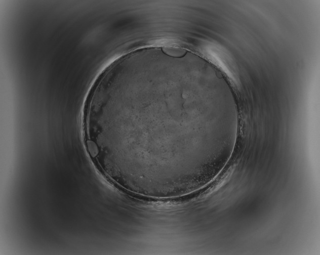 X0000093501087200710121509