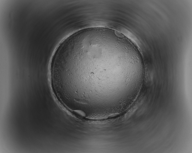 X0000093501088200710121509